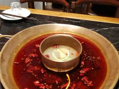-杨家火锅(国美店)