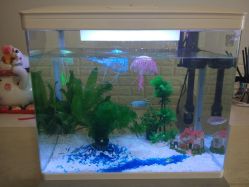 -Yukina Plus专业日式美肌