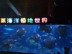 -蓬莱欧乐堡海洋极地世界