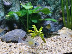 -上海海洋水族馆