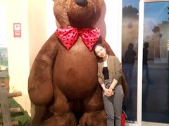 -济州岛泰迪熊博物馆