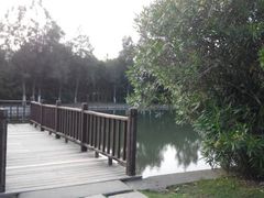 android_upload_pic-乌石塘景区