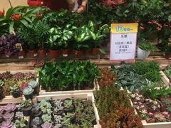 -AEON永旺(东方宝泰店)