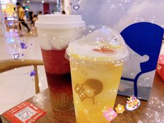 多肉芒芒甘露MAX-喜茶(佛山南海万科广场店)