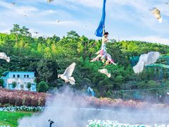 -瓷天下海丝谷