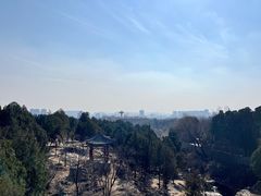 -泰山风景名胜区-虎山公园