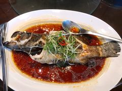 -彩丰楼·中餐厅(国家会展中心上海洲际店)