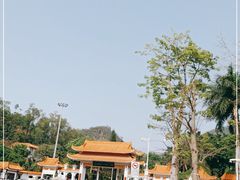 -深圳仙湖植物园