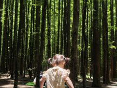 -山王坪喀斯特国家生态公园