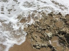 景点-白沙湾海滩