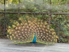 -福建鲤鱼洲酒店