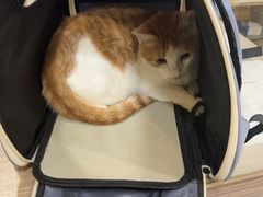 -荔康动物医院(康王北路店)