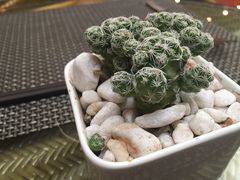 -喜来登酒店-盛宴标帜餐厅