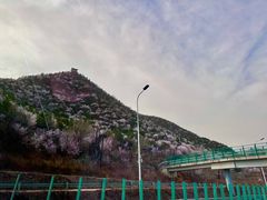 -潭柘寺景区
