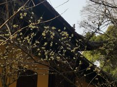 -西园戒幢律寺