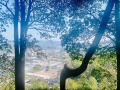 -火炉山森林公园