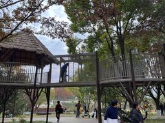 -宁波儿童公园(鄞州区)