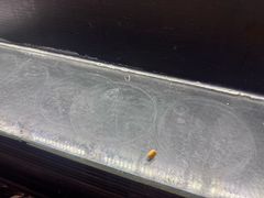 -加餐海鲜自助(集美银泰百货店)