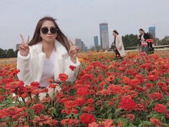 -映月湖中央公园