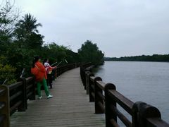 -东寨港红树林旅游区