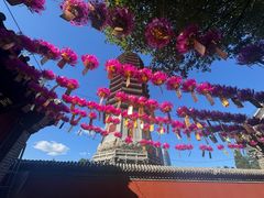 -西海子公园