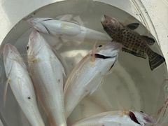 -铭轩中餐厅·海南菜·粤菜(亚龙湾瑞吉店)