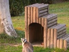 -上海野生动物园