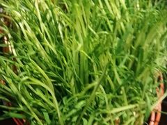 -哈吱喂丽江火塘·牦牛火锅(五一街店)