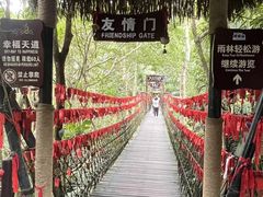 -呀诺达热带雨林
