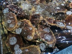 -盒马鲜生(曜一城店)