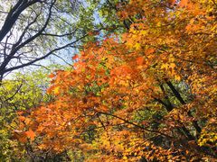 -玉渡山自然风景区