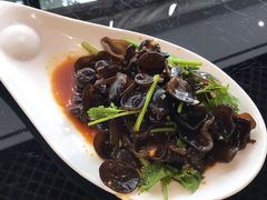 凉拌木耳-玉兰苑一等茶餐厅