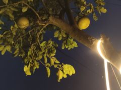 -漫山居私汤民宿全竹宴