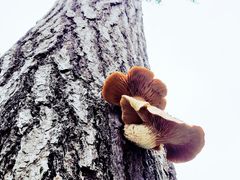 -苏州河梦清园环保主题公园