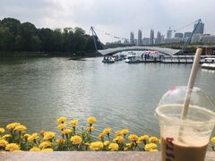 -嘉定紫藤园