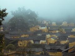 -杨家堂村