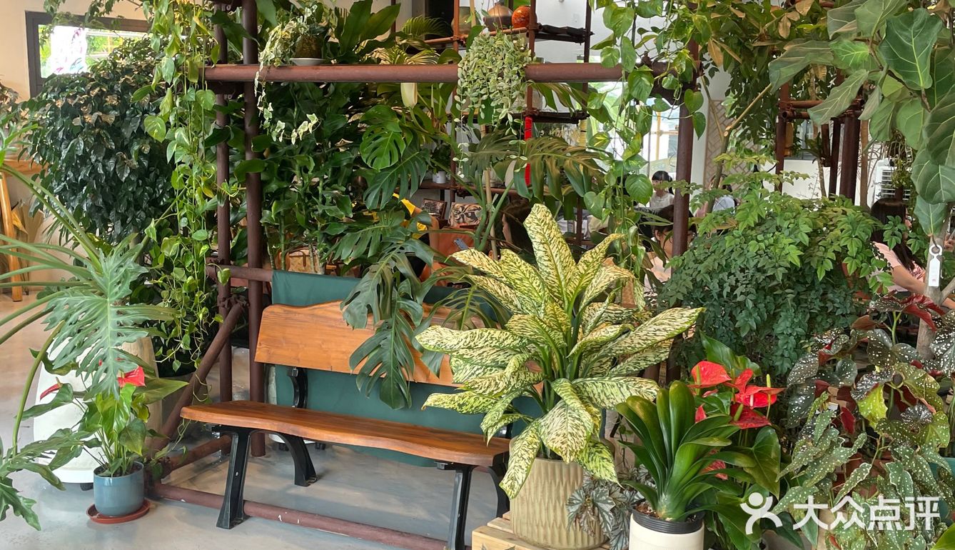 被绿植包围的咖啡店🌵🪴🎍🌿