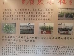 -广东茶楼(鱼峰店)