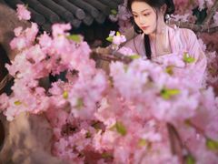 -盘子女人坊(西安至尊店)