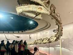 -自贡恐龙博物馆