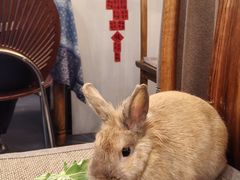 -广迎居老正兴菜馆