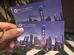 -WFC会仙楼观景台