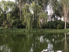 -城市运动公园(未央区)