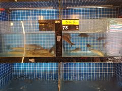 水产区-千岛湖小鱼儿·淳安匠心农家菜