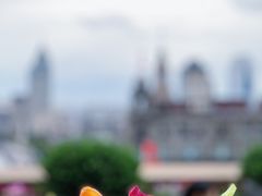 -上海和平饭店华懋阁 Cathay Room