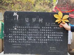 -终南山国家森林公园