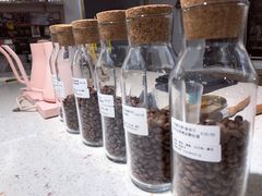-之悦咖啡馆(新星宇·之洲店)