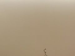 -澜沧古茶·商务茶馆(陆家嘴旗舰店)