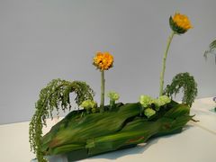 -广州市第二少年宫