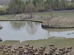 -溱湖国家湿地公园